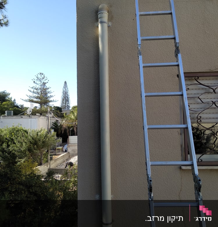 סולם מתכת נשען על גג שטוח